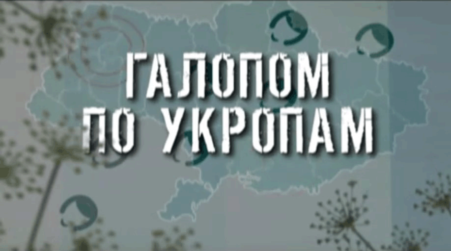 ГТРК ЛНР. Галопом по укропам. 10 августа 2020 г. 13:40