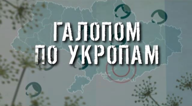 ГТРК ЛНР. Галопом по укропам. 10 ноября 2020 г. 13:40