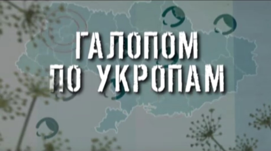 ГТРК ЛНР. Галопом по укропам. 12 марта 2020 г. 13:40