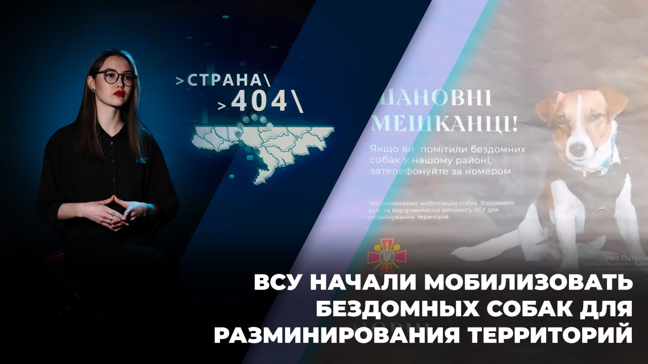 ГТРК ЛНР. Страна 404. № 34. 2 мая 2024 г